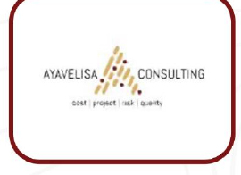 Ayavelisa Consulting